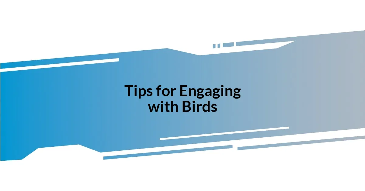 Tips for Engaging with Birds