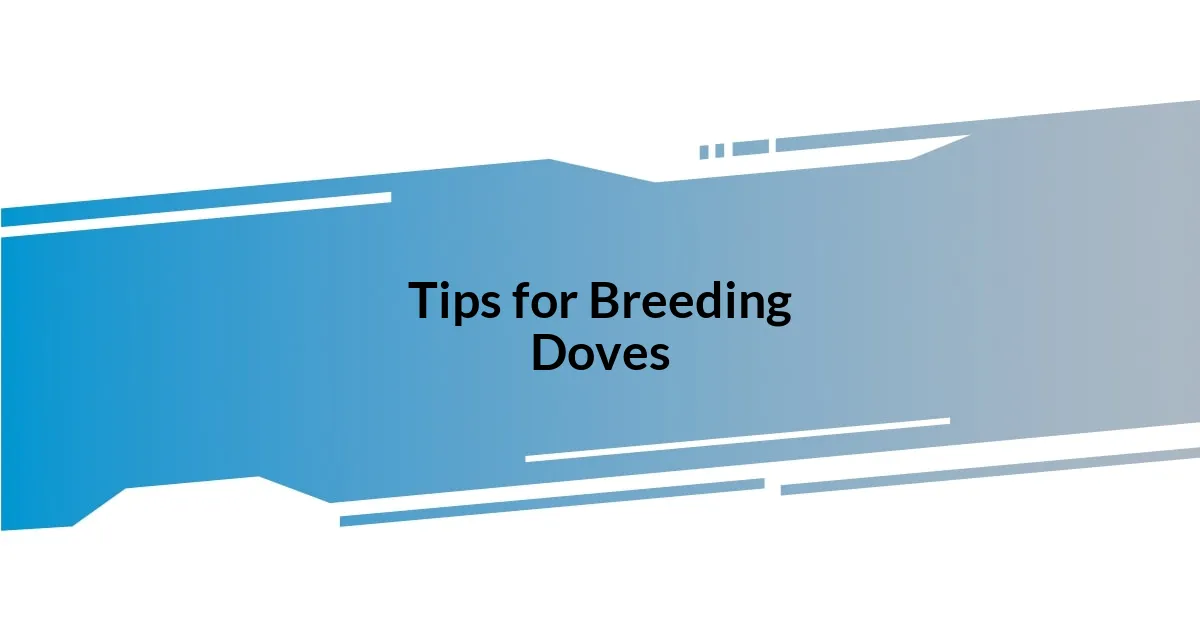 Tips for Breeding Doves